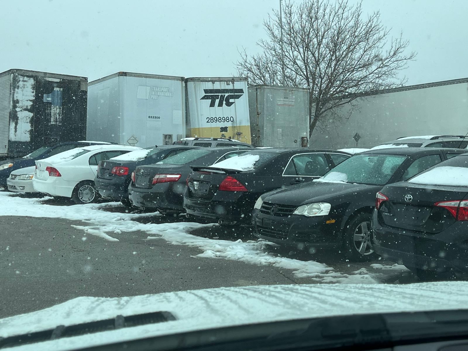 Purchased vehicles ready for processing